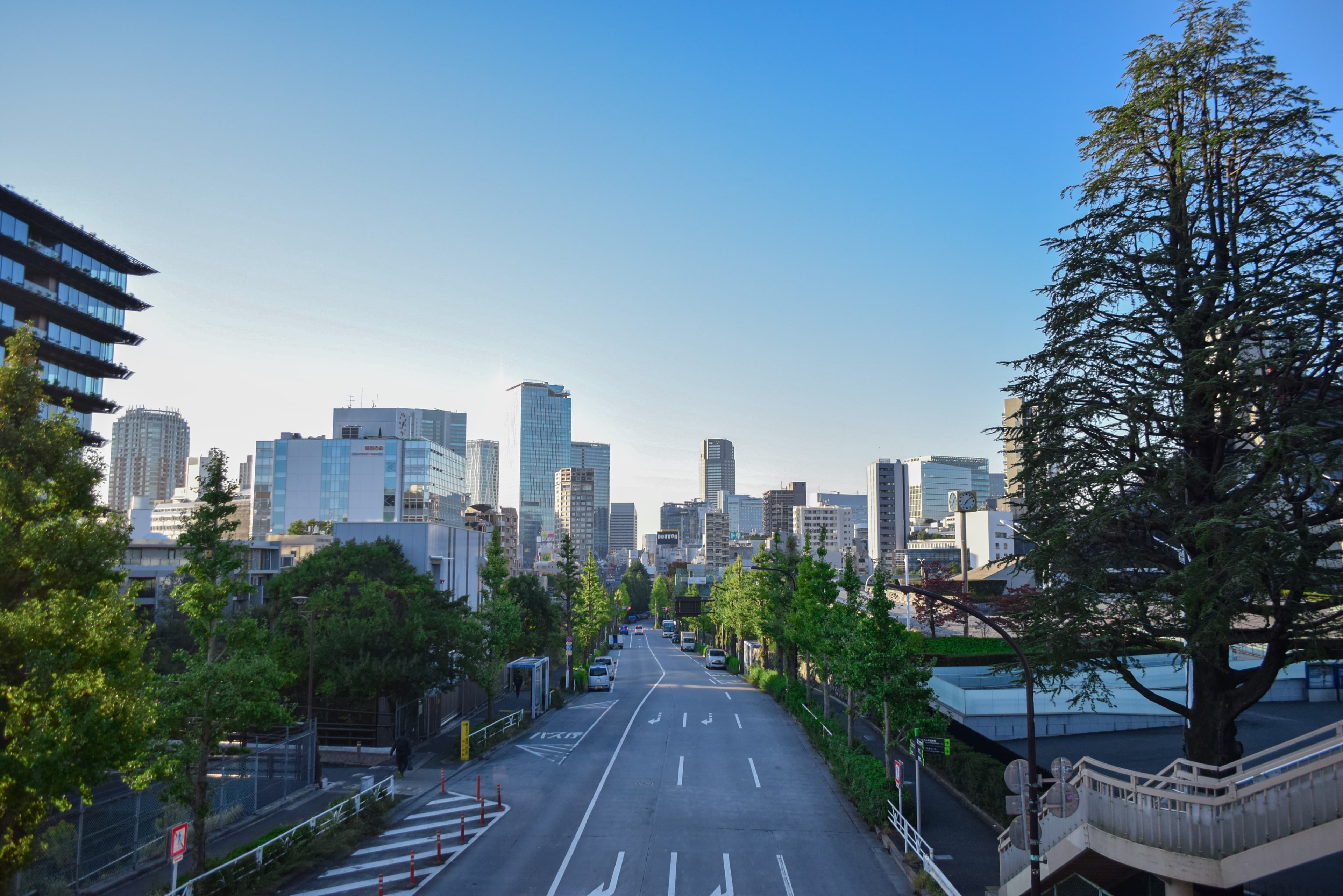 DSC_0103